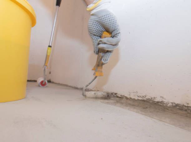 Professional Pest control in Bangor Base, WA